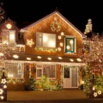 Christmas Light Hanging Services